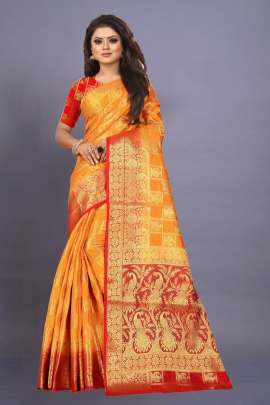 Nylon silk saree with silver zari  sarees catalogs