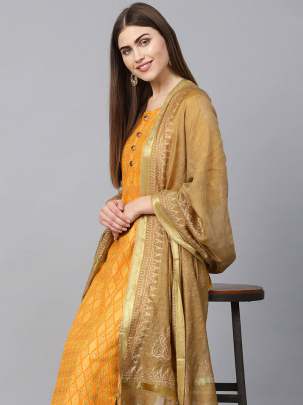Women Yellow & Brown Suit